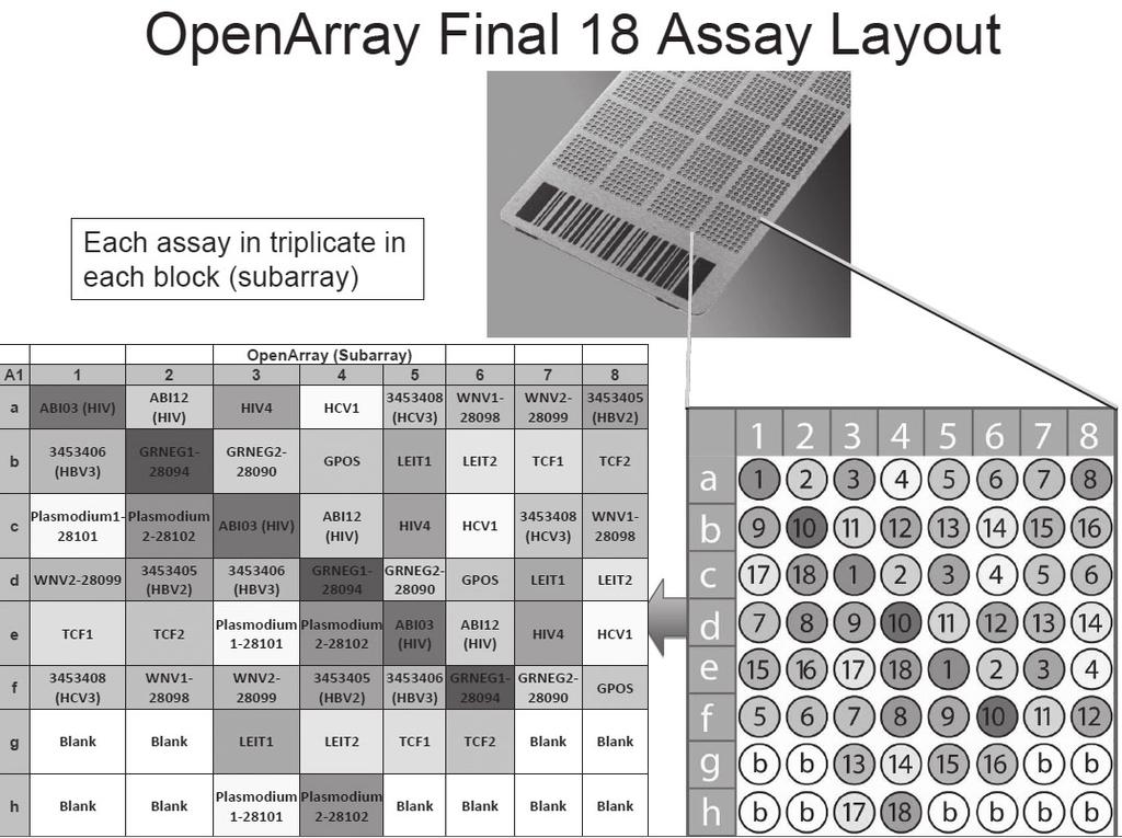 KEIT PD Issue Report PD ISSUE REPORT MARCH 2015 VOL 15-3 OpenArray Final 18 Assay Layout 그림 3.