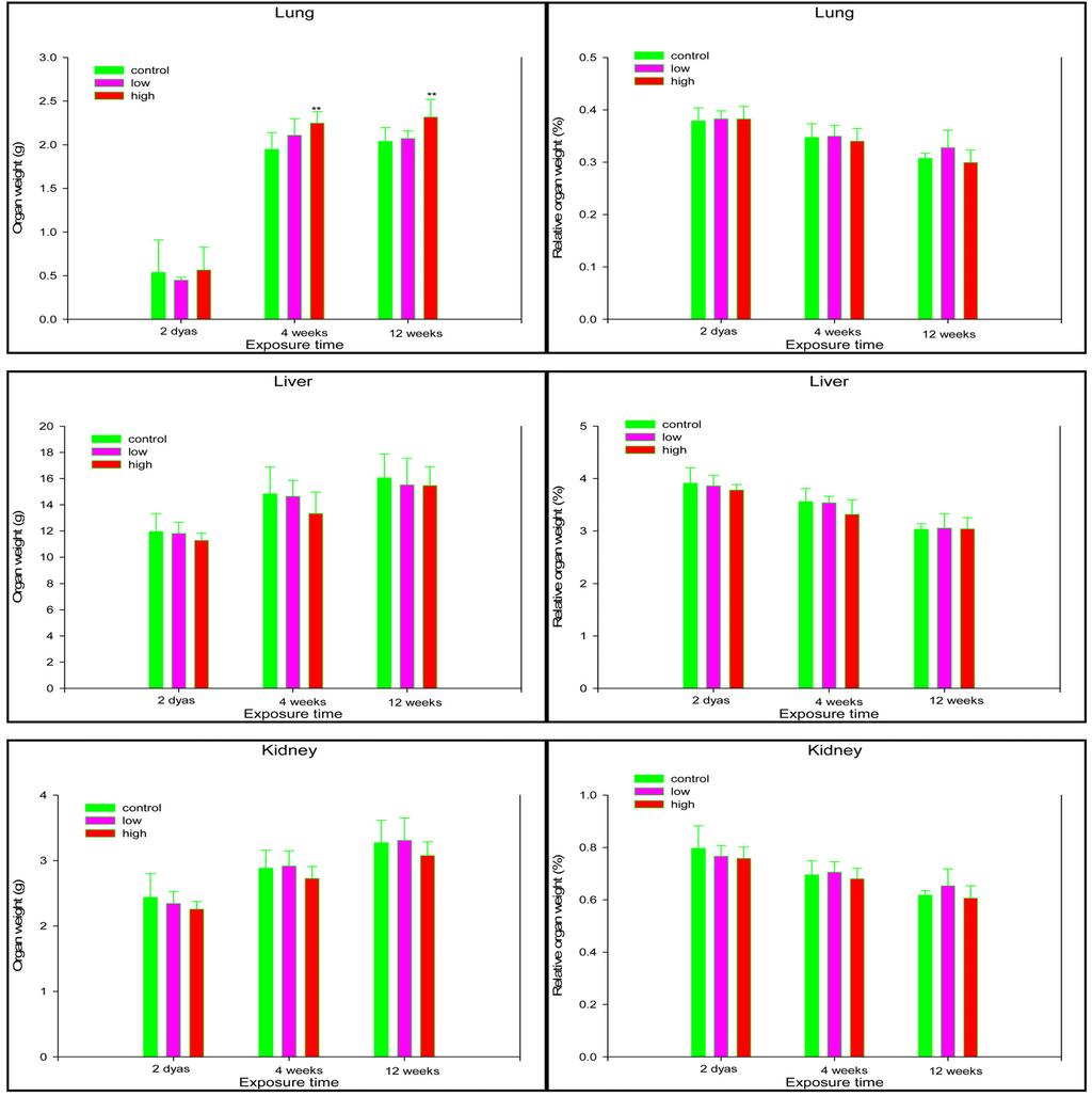 324 김종규ㆍ강민구ㆍ김수진ㆍ송세욱 Figure 2. Organ weight(absolute, relative) change of SD male rats after neodymium oxide instillation (n=8). 3.