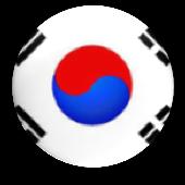 2013 한국