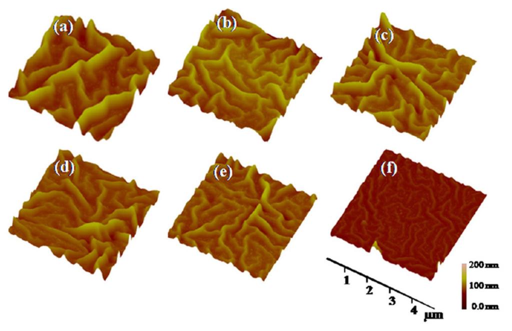 유기태양전지의 효율 및 수명 향상을 위한 기능성 계면 소재 연구 449 Figure 2. AFM images of various ZnO film surfaces on ITO with different concentrations of ZnO nanoparticles in zinc acetate solution.