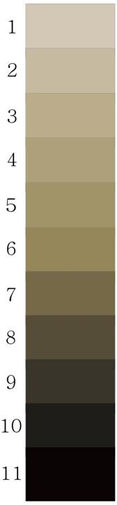 264 Study of Difference in Color Perception According to Sasang Constitution - Focused on "The dress" - 본인이생각하는드레스의바탕색과레이스의색깔을고르도록하였다.