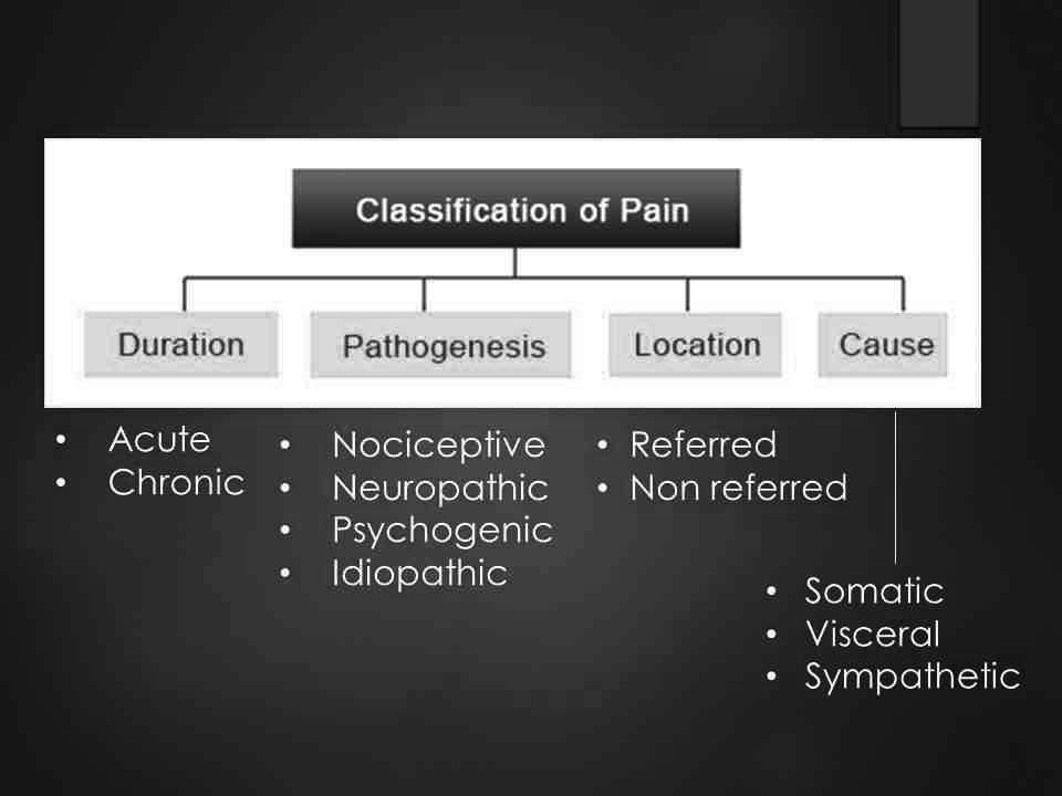 조현희 Introduction to Physiology of Pain Mechanism Introduction to