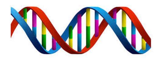 DNA Storage DNA 4