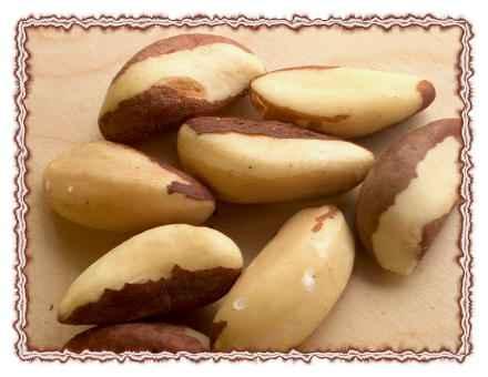 (Coconut) 브라질넛트 (Brazil nuts) 캐슈넛 (Cashew