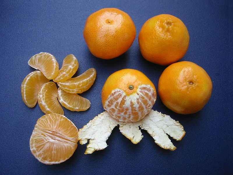 시트리스오란티폴리아 citrus