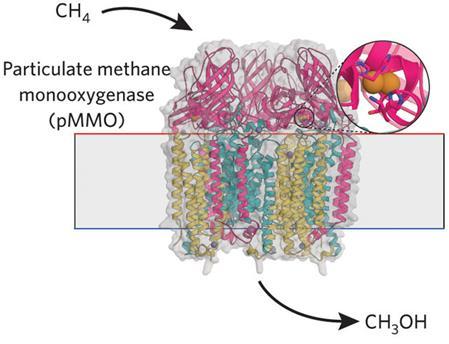 Cu 메탄산화효소, Methane Monooxygenase
