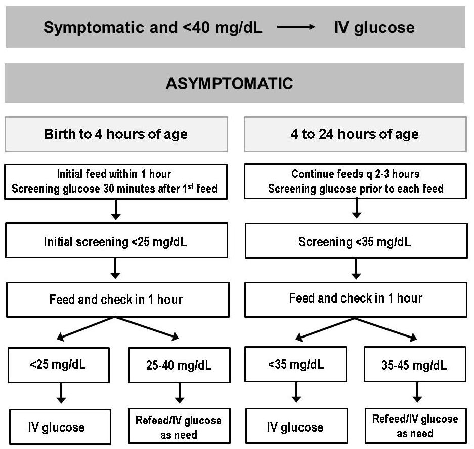 Won Im Cho, Hye Rim Chung : - Glucose Homeostasis during Fetal and Neonatal Period - 승한다.