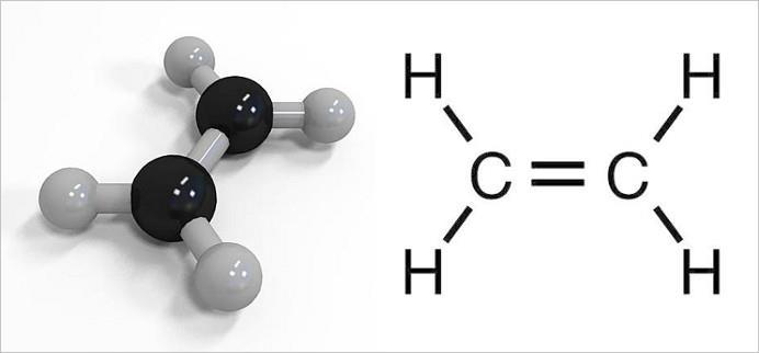 Ethylene 분자량 28.1, 녹는점 -169.2, 끓는점 -103.7, 비중 0.