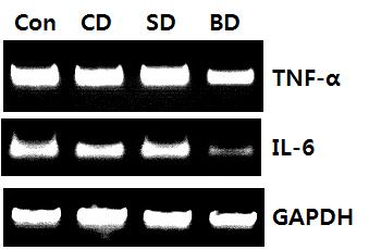 HT-29 인체대장암세포에서검정콩된장의 in vitro 항암효과 275 mrna expression (fold rtio)..8.6.4.2 TNF-α d mrna expression (fold rtio)..8.6.4.2 IL-6 d Con CD MD SD mrna expression (fold rtio)..8.6.4.2 COX-2 Fig. 4.