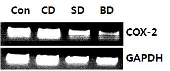 CD, ommeril doenjng; SD, soyen doenjng; BD, lk soyen doenjng. Fold rtio: Gene expression/ GAPDH ontrol numeril vlue (Control fold rtio=).
