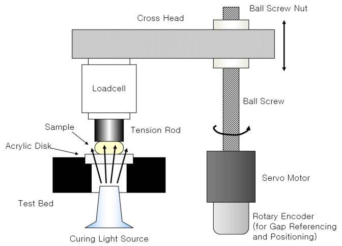 3. 중합수축력측정 복합레진의중합수축력은중합수축력측정장치 (R&B Inc., Daejon, Korea) 를사용하여측정하였다 (Fig. 2). 이기기는모터에의하여금속봉이상하로움직이도록되어있으며, 금속봉에가해지는중합수축력은금속봉에연결되어있는 load cell 에의해측정된다.