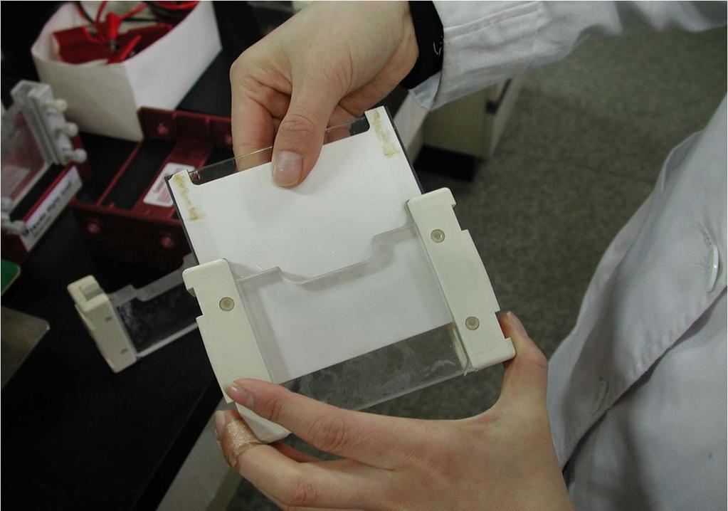실험과정 SDS-PAGE frame 제작 알루미늄판과유리판사이에 spacer 끼움