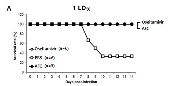 항 - 인플루엔자조성물초유 임상 Study 요약 인플루엔자바이러스를인위적으로감염시킨후, Oseltamivir (