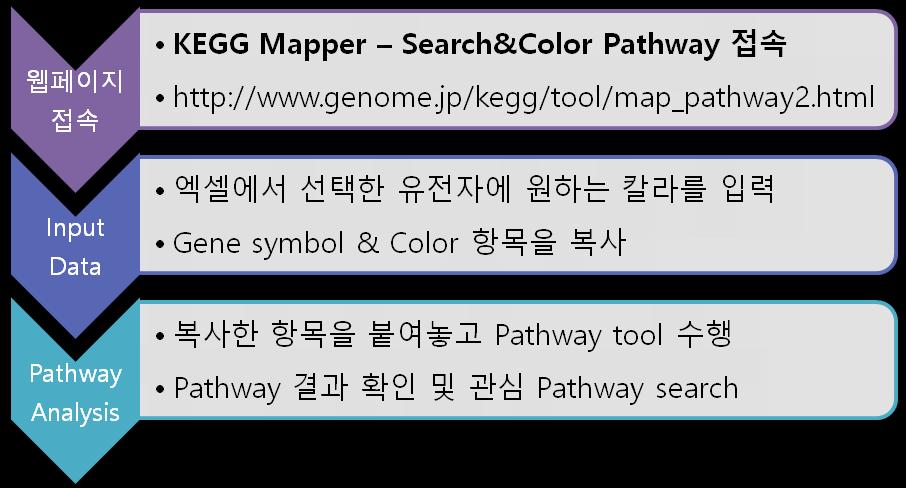 KEGG Mapper tool analysis process 그림 3-2는 mrna-seq report에서 2fold, normalized