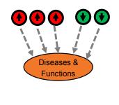 Cell cycle 증가, apoptosis 감소 Regulator Effects