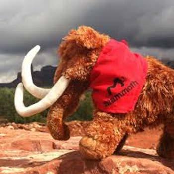 DeExtinction: Woolly Mammoth Revival