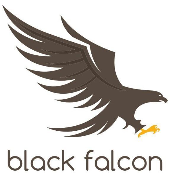 Black Falcon Team 첫번째입팀과제보고서 - Damm
