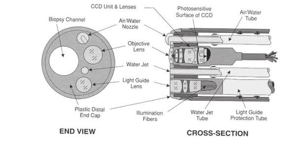 ISSUE 2 내시경의료기기기술및산업동향 그림 10 Colonoscope distal tip (4) 그림 11 Insertion tube: internal