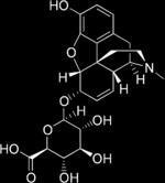 metabolite of morphine