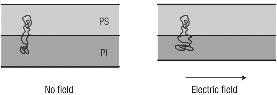 Russell 그룹은 실린더를 형성하는 36 그림 6은 PS-b-PEO 블록공중합체에 용매숙성법을 적용하여 long-range 가해준 전기장에 따른 블록공중합체 용액의 SAXS 패턴과 도메인 order를 갖는 수직 배향의 나노구조를 만들었으며, 이를 통하여 블록 간의 거리 변화를 보여주고 있다.