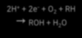 Dioxygen Transfer Pathway in Toluene/o-Xylene Monooxygenase (ToMO) O 2 ToMOH hydroxylase 2H + + 2e - + O 2 + RH ROH + H 2 O