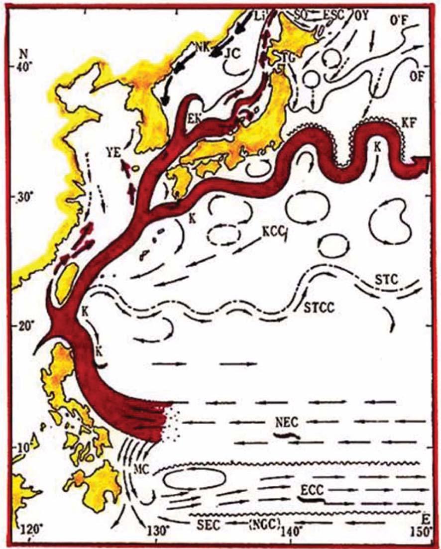 Planning and Application of the Korea Ocean Gate Array (KOGA) Program 221 Fig. 6. Flow pattern of Kuroshio and Tsushima Current. 축적이우려되고있는현실이다. 그러나현재까지구체적연구성과는미미한실정이다.