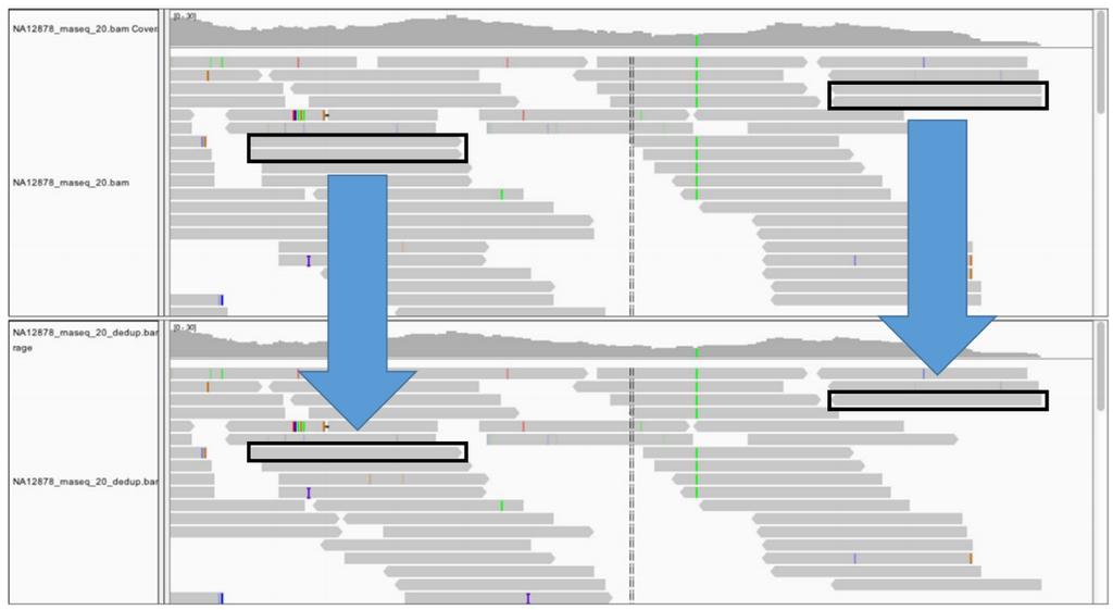 4.5 Duplicated 된 read 제거 raw sequence 데이터생성과정에서 PCR 로인해 duplicate 된 read 들을제거하는단계로중복된 read 정보를가지는 metrics.txt 파일과중복된 read 들이제거된 BAM 파일이생성된다.