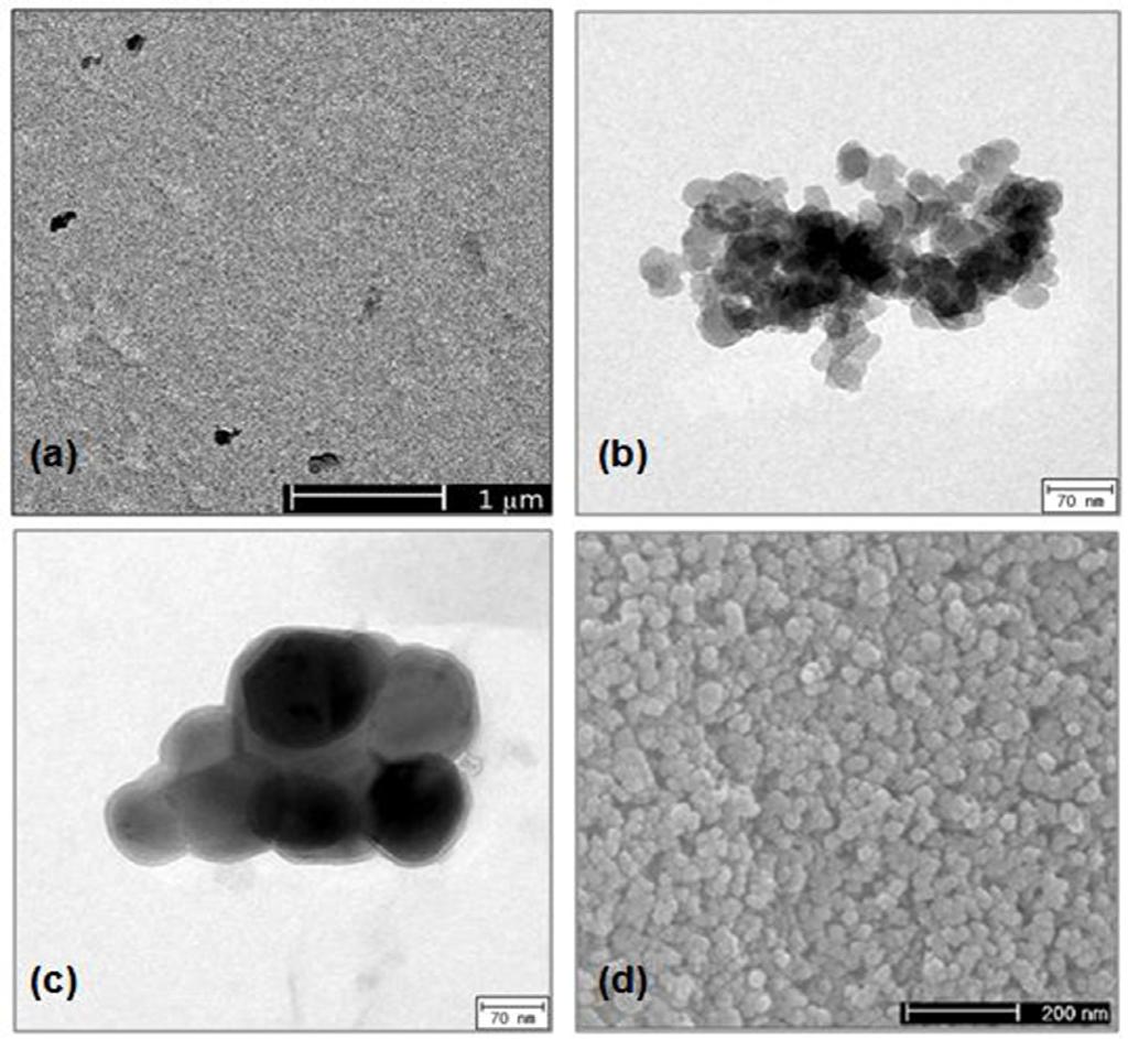 TEM images of the airborne silica identified in the (a) CVD, (b) ETCH and (c) CLEAN process during maintenance, and SEM image of the