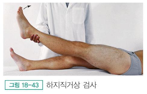 척추검사 하지직거상 (Straight leg raising) 검사또는라세그검사 (LaSegue s test) -
