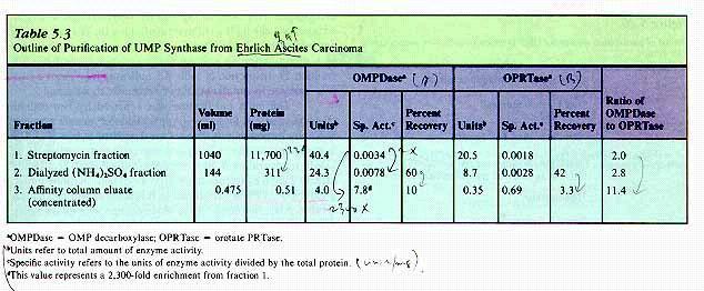 단백질정제의예 : - UMP synthase : - specific acivity = total activity units / total protein ( 예, 40.4/11,700 = 0.