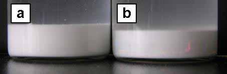 Figure 34 TGA thermograms of (a) fluorescent whitening agent (UBITEX OB), (b) PMMA particles, (c) PMMA/UBITEX OB particles, (d)