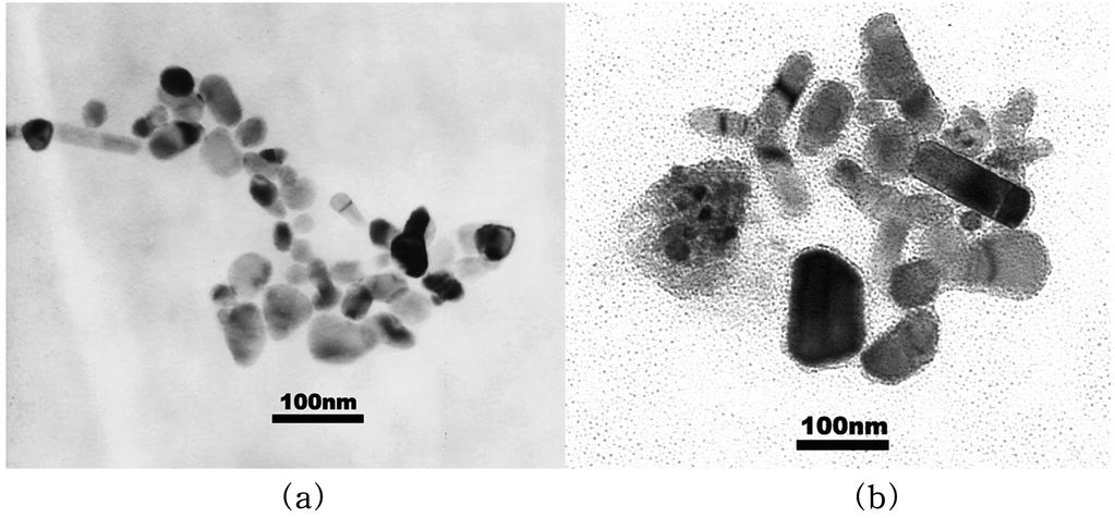수용액에 분산된 분말의 에 의한 laser ablation 나노입자의 생성 445 Fig. 6. TEM images of nanoparticles prepared by laser ablation in (a) 0.01 M SDS solution and (b) 0.001 M CTAB solution.