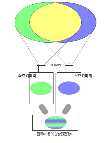 3D 입력카메라의주시각에따라서는다음과같이분류할수있다.