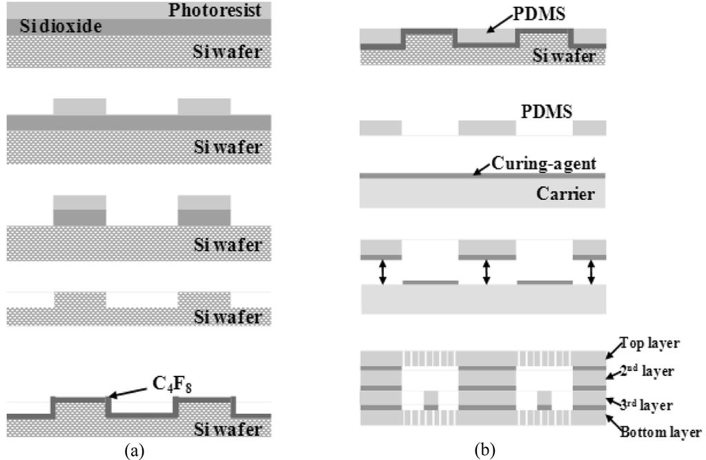 정효영 구교인 이상민 반재원 박호수 방승민 송시영 조동일 22 Fig. 4. Fabrication process for micro-tissue collection tool (a) Silicon wafer molding process (b) PDMS replica layer and bonding process.
