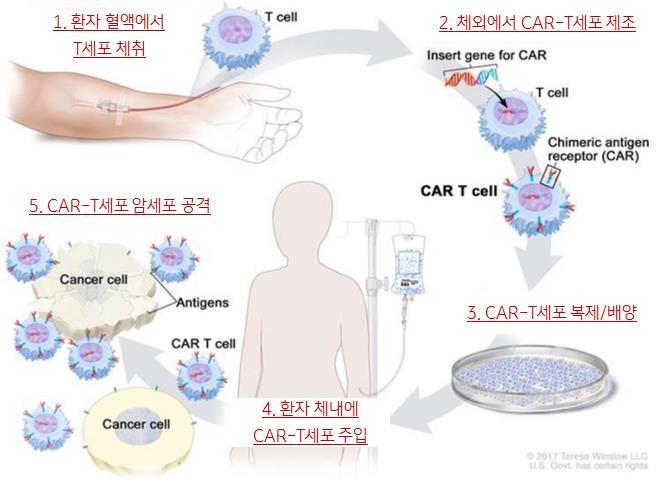 CART 기술에기반한항암치료 제는기존세포치료제에비해치료효과를월등히개선한것으로평가 [ 그림 8] 면역세포를이용한항암치료기술발전동향 자료 : MFDS