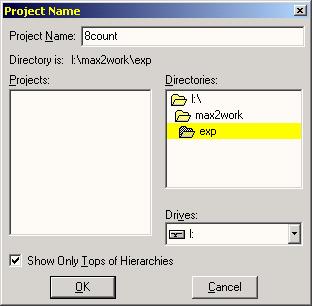 Figure 5 Project "Drives:" "Directories:" (L:\max2work\exp)