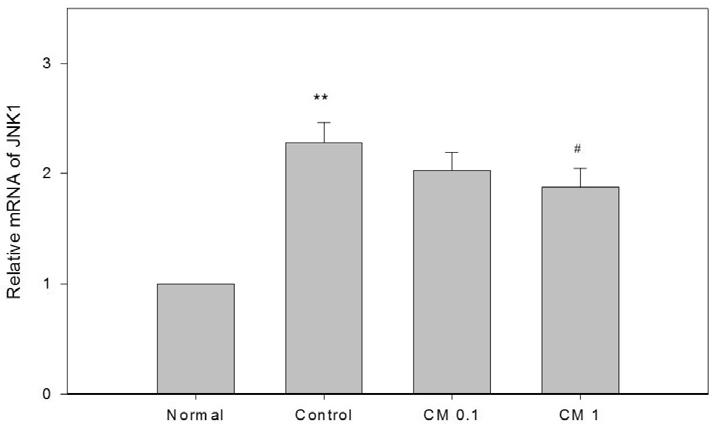 Ⅳ. 고찰 Fig. 6. Effects of on the Expression of JNK1 in RANKL Stimulated Osteoclast. 1 : RANKL(50 ng/ ml ) + 1 μg / ml of # : p<0.05 vs Control 7.