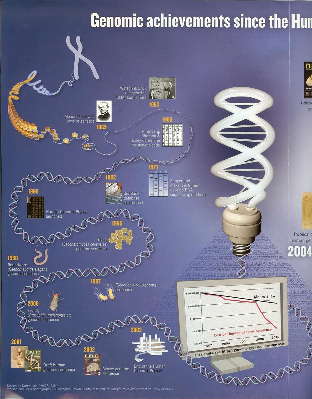 인간유전체사업 결정 이후 유전체 연구분야는 획기적인 발전을 함. 이후 이루어진 업적들.