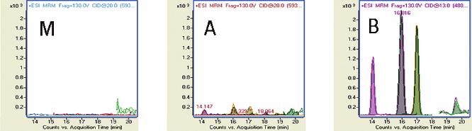 다이나믹 MRM 분석법의예 그림 5. 다이나믹 MRM 을이용하여단일분석으로얻어진 2,000 개의 MRM 크로마토그램오버레이 그림 6. 과산화효소펩티드의 MRM 크로마토그램오버레이가머무름시간및 MS 감응의탁월한재현성을보여줌.