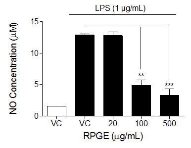 The cells were treated with various concentrations of RPGE for 24 hours in the absence (A) or presence (B) LPS (1 μg/ml). Cell viability was measured by CCK-8 assay.