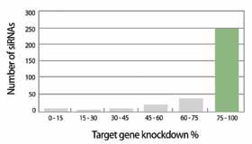 AccuTarget Premade sirna Sets Figure 10. Knockdown efficiency of AccuTarget TM sirna Library.