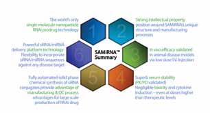 SAMiRNA Technical Spec Description SAMiRNA TM 는효율은극대화하고부작용은최소화한차세대 RNAi 플랫폼기술로서, 이를이용하여기존에약이존재하지않았던난치성질병에대한 sirna 치료제개발이가능합니다.