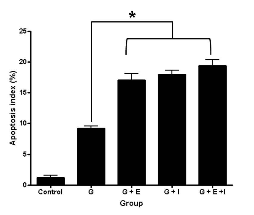 (B) 그림 9. 누드마우스에서적출한종양조직에대한 TUNEL 염색 소견. (A) 현미경소견 (X200), (B) 각군에서의 TUNEL 발현의 정량적소견.