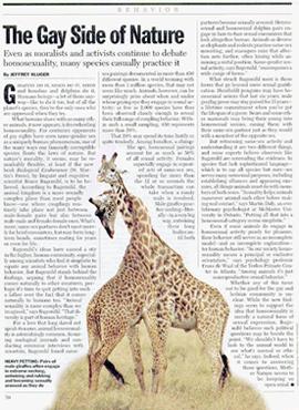 Giraffe s Necking Necking -