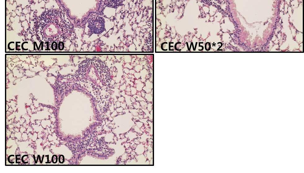 PBS (n=5) mice challenged with PBS biweekly after establishment of asthma; OVA (n=5), mice challenged with OVA biweekly after establishment of asthma;