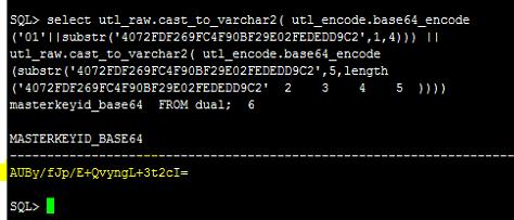 base64_encode ('01' substr('4072fdf269fc4f90bf29e02fededd9c2',1,4))) utl_raw.cast_to_varchar2( utl_encode.