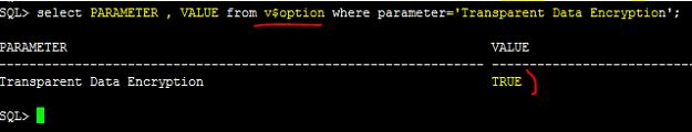 5 TDE 설치여부확인 SQL> select PARAMETER, VALUE from v$option where parameter='transparent Data Encryption'; PARAMETER VALUE ----------------------------------------------------------------