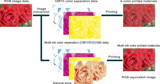 색분해 ( 色分解, Color Separation) -컬러원고는어떠한컬러로표현되어있어도실제인쇄되는잉크는 4색 (C, M, Y,
