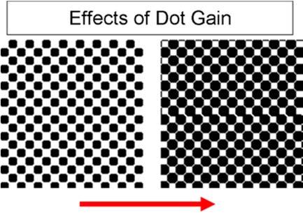 Dot gain: a phenomenon in offset lithography and some other forms of printing which causes printed material to look darker than intended moiré