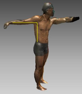 PostureⅠ PostureⅡ Posture Ⅲ Posture Ⅳ -90-45 60 90 Figure 1. 3D body scanned postures 게발생하는부위라할수있다.